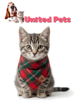 a warm tartan kitty jacket